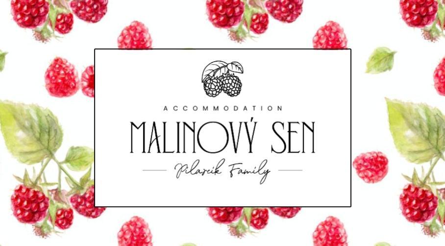 Malinovy Sen Bed and Breakfast Habovka Buitenkant foto